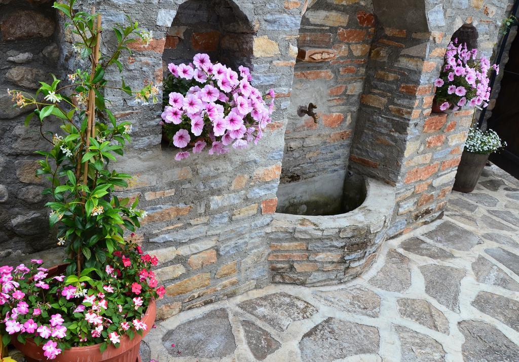 Family Hotel Dinchova Kushta Rozhen Exterior photo